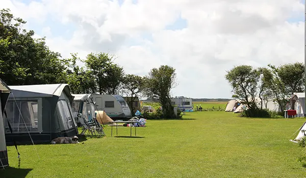 Boerencamping Amalia — photo 5